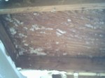 Bee hive removed from a patio roof.